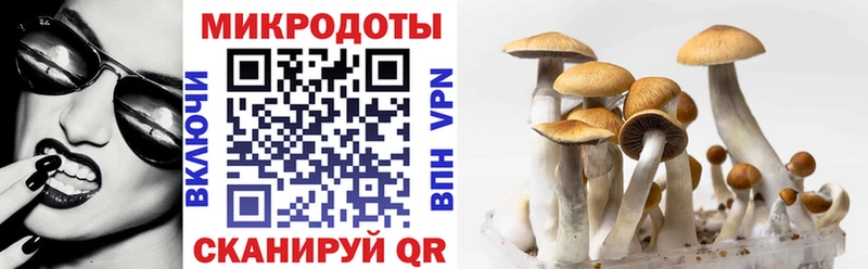 Галлюциногенные грибы GOLDEN TEACHER  Павловский Посад 